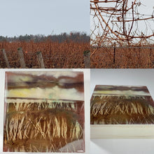 Load image into Gallery viewer, 5 inch square Original botanical print, grape stains  with resin finish
