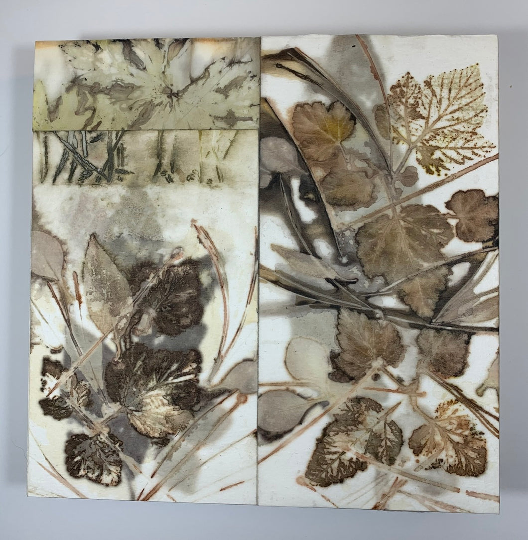 Botanical contact print - 8 inch square nine bark and Pine needles