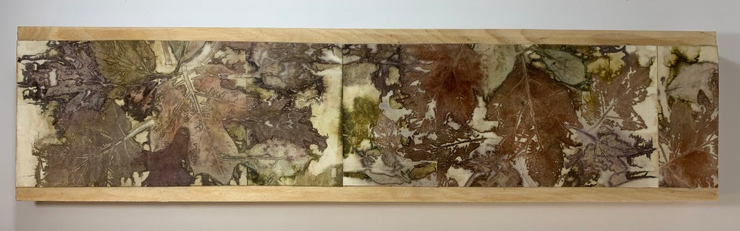 2ft long Botanical contact print  - windfall