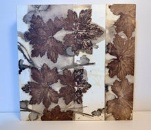 Load image into Gallery viewer, Botanical contact print - 8 inch square geranium leaves and pine needles
