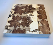 Load image into Gallery viewer, Botanical contact print - 8 inch square geranium leaves and pine needles
