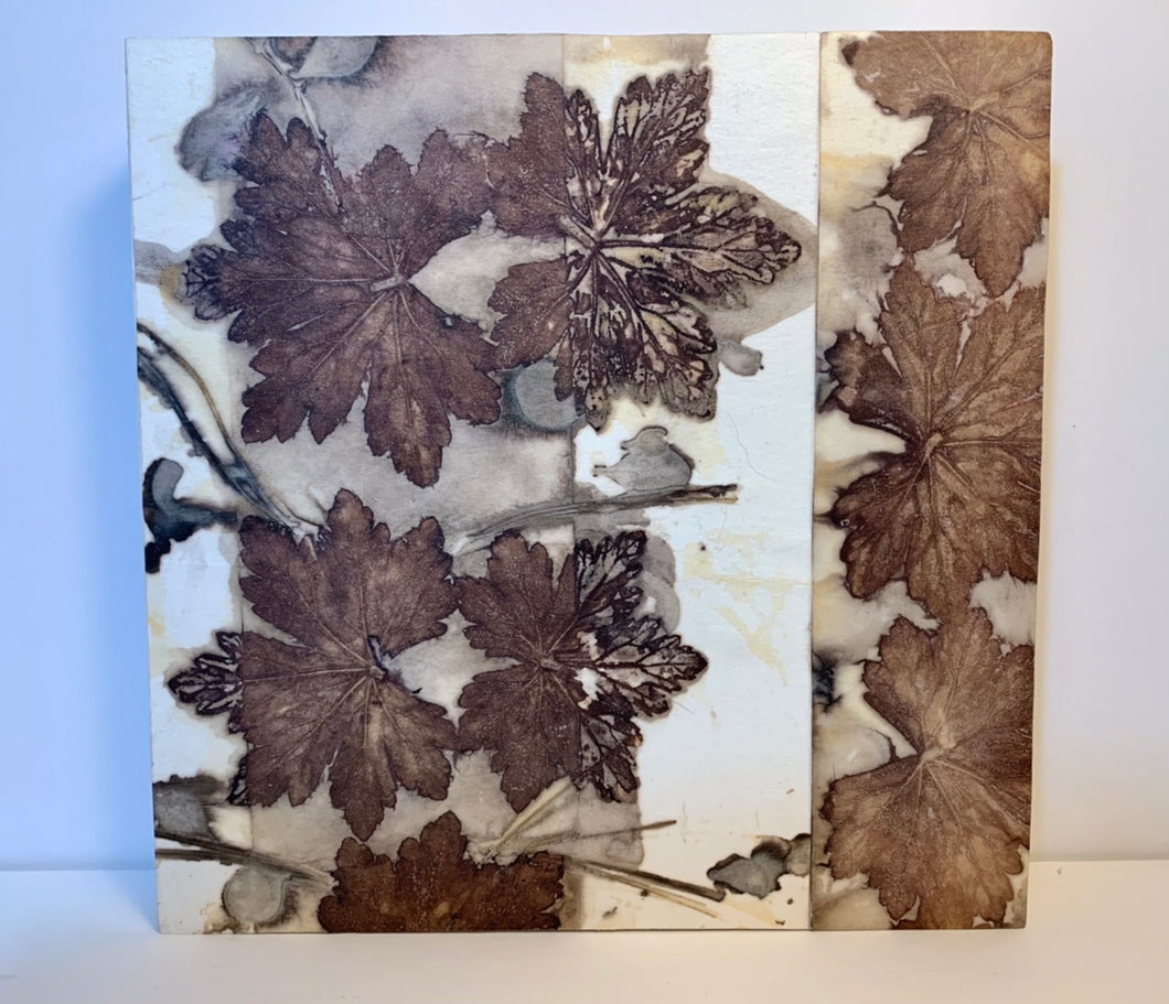 Botanical contact print - 8 inch square geranium leaves and pine needles